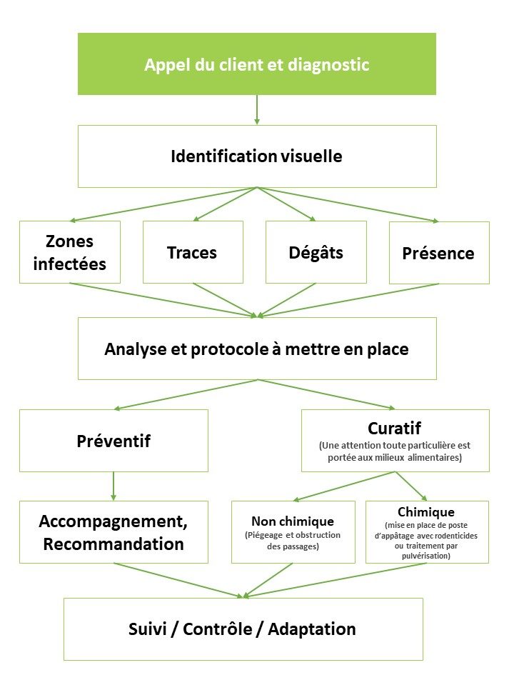 methodologie ajpgroup deratisation desinsectisation desinfection plaisir yvelines